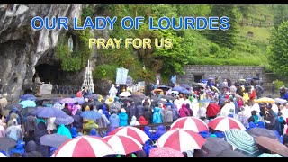 Lourdes Holy Mass with diocese of Middlesbrough 🇬🇧 [upl. by Judus]