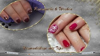 Mininägel mit OmbréEffekt durch Thermogel  NailsbyLadydesigner [upl. by Aneda845]