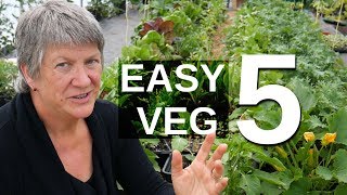 5 EASY Perennial Vegetables Harvest food year after year [upl. by Klehm484]