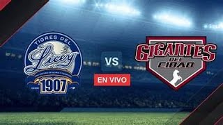 Tigres del Licey vs Gigantes del Cibao  EN VIVO 2024 [upl. by Yhtomot861]