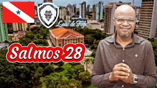 Salmos 28  Elieu Andrade [upl. by Ardnohsed]