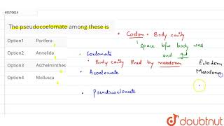 The pseudocoelomate among these is [upl. by Fujio396]