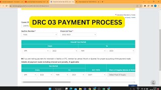 GST DRC03 ONLINE FILING PROCESS [upl. by Greenquist]