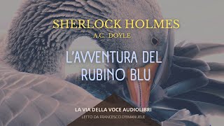 Sherlock Holmes Lavventura del Rubino Blu  AC Doyle  Audiolibro ITA [upl. by Jeanine]