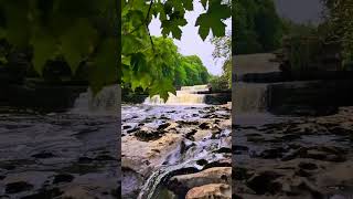 Aysgarth Falls Yorkshire Dales National Park🏴󠁧󠁢󠁥󠁮󠁧󠁿  15th September 2024 travel yorkshire [upl. by Rohpotsirhc]