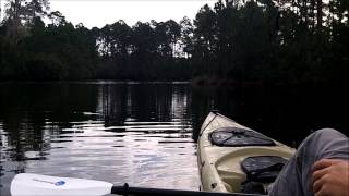 Triple Trout Fest Lowcountry Swimbait Fishing [upl. by Essej]