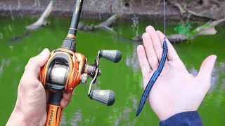 Catch 15x MORE Bass  TRY THIS Bass Fishing Tips [upl. by Hobie629]