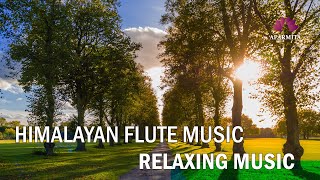 Morning Flute Music  Himalayan Flute Music  Meditation Music  बाँसुरी Aparmita Ep 114 [upl. by Jasun]