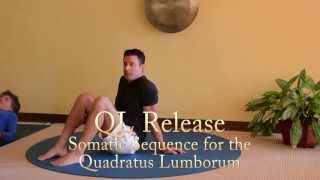 Somatic Relief for the Quadratus Lumborum QL [upl. by Cirek]