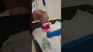 simple titration in the lab [upl. by Eolhc]