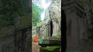 Angkor Wat Basics Essential Visitor Info  Angkor Wat [upl. by Lemuel]