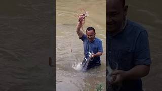 Dapat ikan banyak di lubuk larangan borangdarat [upl. by Erdman]