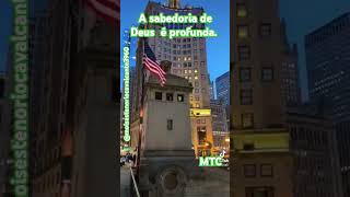 A sabedoria de Deus é profunda sabedoria saber profunda viraliza poder versiculododia jesus [upl. by Llyrrad]