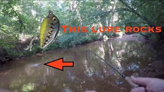 These Small Lures are Irresistible Creek Fishing [upl. by Sirad]