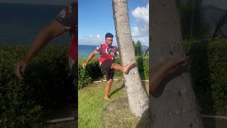 How Polynesians train Martial Arts mma shorts [upl. by Ahcila293]