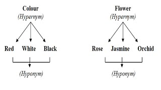 study of words semantics synonym antonym homonym hyponym polysemy homophone homographlexeme [upl. by Awram]