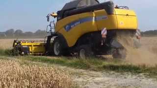 New Holland CX880 Mähdrescher bei der Ernte 2014 [upl. by Griffie869]