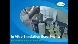 In Vitro Simulation Experiments [upl. by Pearse]