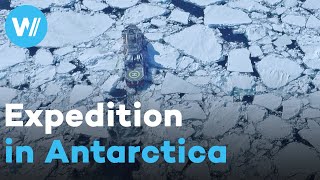 Global warming In Antarctica to observe the consequences of climate change [upl. by Kolva]