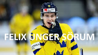 Felix Unger Sörum  Hockey Highlights [upl. by Rowley]