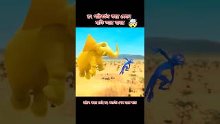 হাতি এবং বানরের রঙের জাদু🤯 Bangla Cartoon 3danimition cartoon shortvideo [upl. by Fowle788]