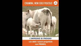 PROGEO 2024 Trequanda VIDEO 01 MASTER MP4 8Mbps 1 [upl. by Linnie]