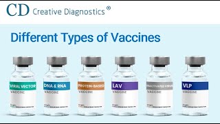 Different Types of Vaccines  Creative Diagnostics [upl. by Vlada]