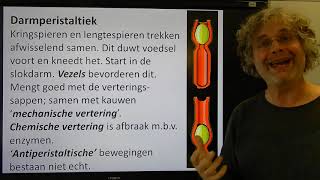 Biologie HV BB Het verteringsstelsel van de mens [upl. by Gershon]