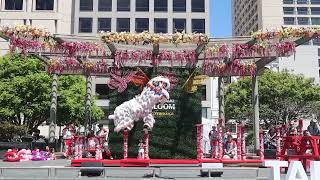 Leungs White Crane Dragon amp Lion Dance  2024 Taiwanese American Cultural Festival [upl. by Ocirderf]