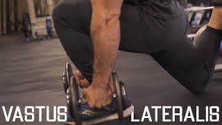 How To Grow Your Outer Quads  Vastus Lateralis Exercies “Quad Sweep” [upl. by Aiym]