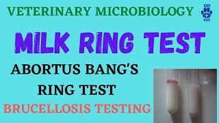 Milk Ring TestBrucellosis ABRT [upl. by Nnyltiac]