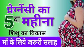 Pregnancy Month 5  5 Month Pregnancy Baby Weight  गर्भावस्था का पांचवा महीना  5 मंथ प्रेगनेंसी [upl. by Ycart142]