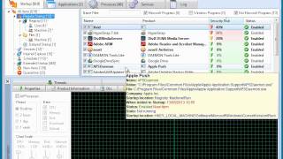 AnVir Task Manager Pro video tutorial [upl. by Elleirad]