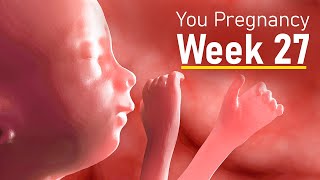 How big is your baby at 27 weeks pregnant  Your body at week 27 of pregnancy [upl. by Mirella917]