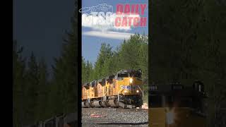 trains shorts 1youtubeshorts tsgdailycatch 110624 [upl. by Nywloc264]