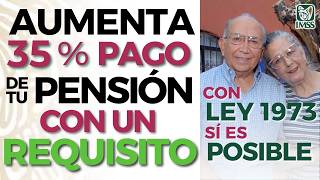 💲Como Aumentar la Pensión un 35 porciento❓ [upl. by Everett993]