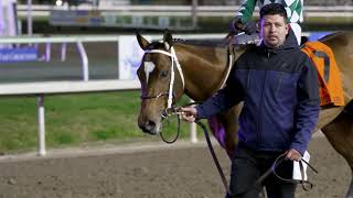 Road to the 150th Kentucky Derby  Track Phantom [upl. by Corly]