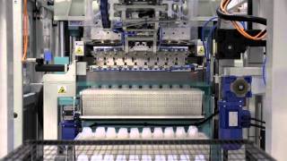 THERMOFORMING MACHINE FTV 750 [upl. by Thilda]