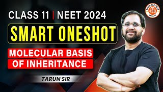 MOLECULAR BASIS OF INHERITANCE CLASS 12 ONE SHOT  NEET 2024  SMART ONE SHOT  BOTANY BY TARUN SIR [upl. by Terti386]