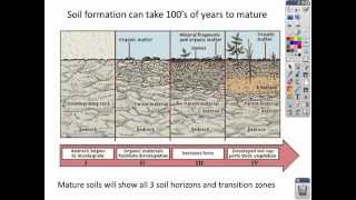 Intro to Soil lecture [upl. by Hgieloj263]