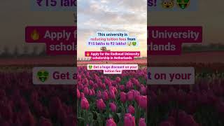 Study in Netherlands  Radboud University Scholarship  Masters in Netherlands for Free  shorts [upl. by Bailar]