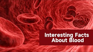 Interesting Facts About Blood │ PHHP Health Guide [upl. by Khalin]