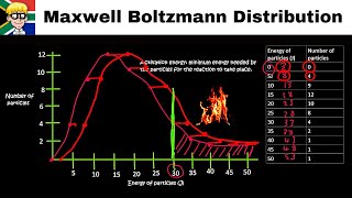 Maxwell Boltzmann Distribution Curve grade 12 [upl. by Favin]