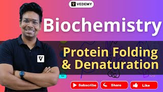 Protein Folding amp Denaturation  Biochemisty  By Virendra Singh  CSIR  GATE  DBT  ICMR  CUET [upl. by Anoed]