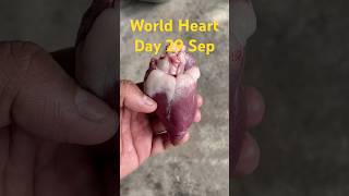 World Heart Day 29 September heart heartday shorts short shortsvideo youtubeshorts [upl. by Neret]