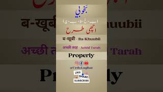 BaKhuubii Meaning  Urdu Dictionary [upl. by Denzil]