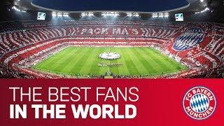 quotOur fans were simply louderquot  Best FC Bayern Tifos [upl. by Earezed]