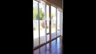 Pet Doors for sliding doors by Modern Pet Doors [upl. by Licastro854]