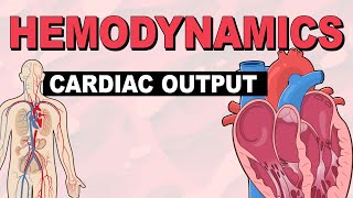 Cardiac Output  Hemodynamics Part 3 [upl. by Adnulahs]