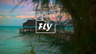 Tanzaniaz Zanzibar Reef and Beach Ultra HD 4K 60 FPS By Drone [upl. by Maynard]